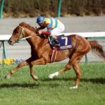 クラシック一冠の最強馬といえば?