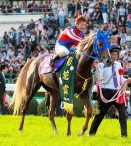 菊花賞に出走した上がり馬で印象に残っている馬