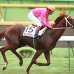 自分が生まれた年のダービー馬をあげてくスレ