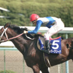 スーパークリークって強かったの?