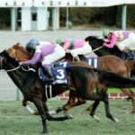 スペシャルウィーク(古馬GI3勝)オルフェーヴル(古馬GI2勝)