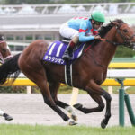 JRA芝GI馬ラウダシオン、佐賀競馬に出走wwww