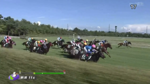 新潟4角から追ってる車載カメラの映像