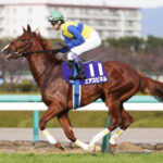 3大惜しかった馬