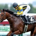 【悲報】オールカマーで復帰予定のオルフェ最高傑作ことソーヴァリアント、ルメールに捨てられる