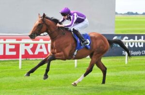 サクソンウォリアー種牡馬大失敗www