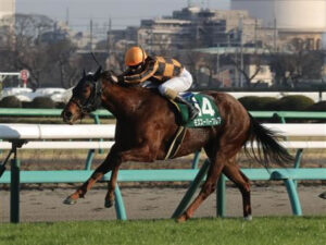 性別が逆だと思っていた馬