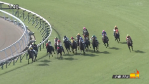 カデナ今村騎手「馬はベテランなのに、乗っている上が…」