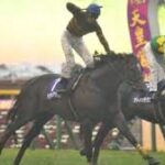 歴代の秋天勝ち馬達を東京2000で戦わせたら