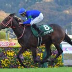 ドバイターフとかいうパンサラッサごときが勝ててしまうG1