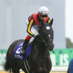 池添牝馬ステークス(阪神競馬場芝1600メートル)wwww