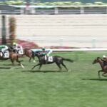 【競馬】札幌5R新馬戦 武豊騎乗のインスタキングがV