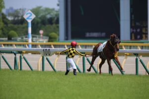 【競馬】メイショウマンボ陣営「あんな前残りの展開になった安田記念を使わなくて良かった」←何様だよwww