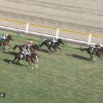 【新潟2歳ステークス2022】出走予定馬・騎手/新潟から羽ばたけ