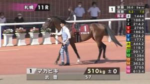 マカヒキさんの次走