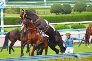 好きな画像張ってガス抜きしとくわ