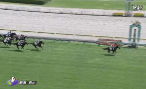 【2歳新馬】5馬身差圧勝!フェイト強すぎワロタwwww
