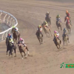 ラウダシオンさん、ダート馬に子供扱いされてしまう…
