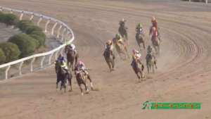 ラウダシオンさん、ダート馬に子供扱いされてしまう…