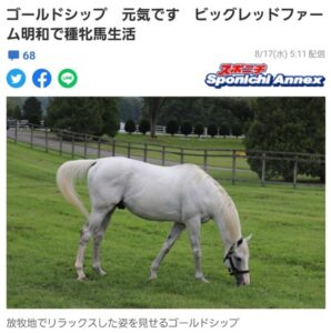 ゴールドシップ、牝馬になる