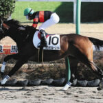 【競馬予想】[2]第14回レパードステークス(GIII)/2022