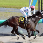 【競馬予想】[1]第14回レパードステークス(GIII)/2022