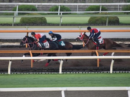 藤田晋オーナーの高額馬フェイトが今週デビュー 矢作師も絶賛