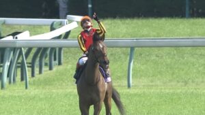 池添牝馬ステークス(阪神競馬場芝1600メートル)