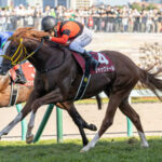 【札幌記念】3番人気ジャックドール首差で競り勝ちV!重賞2勝目