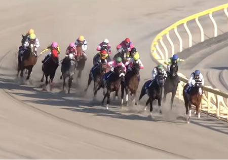 そういえばいた芝ダート二刀流馬