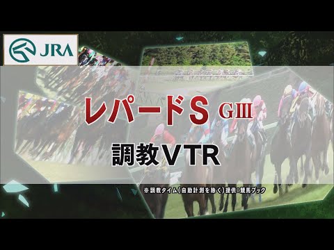 【調教動画】2022年 レパードステークス｜JRA公式