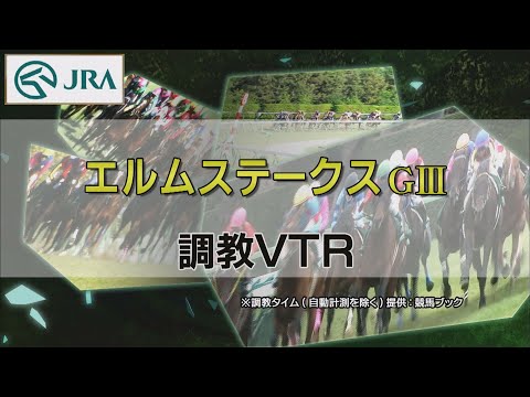【調教動画】2022年 エルムステークス｜JRA公式