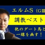 《エルムS 調教ベスト3》1位は意外な伏兵が!?競馬エイト・高橋賢司トラックマンが解説