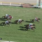 【競馬】新潟2歳Sは戸崎騎乗のキタウイングがV
