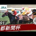 1991年 京都新聞杯(GⅡ) | ナイスネイチャ | JRA公式