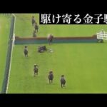 落馬したシングンマイケルにすぐに駆け寄る生涯の相棒金子騎手 立ち上がれない