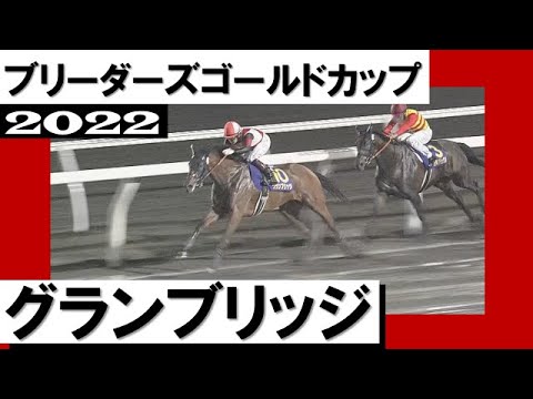 史上初３歳馬が勝利！グランブリッジが不良馬場の激戦を制する【ブリーダーズゴールドカップ2022】