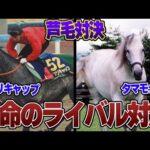 【競馬】宿命のライバル