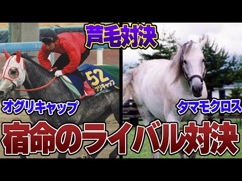 【競馬】宿命のライバル