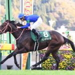 札幌記念のレース後に立ちそうなスレ