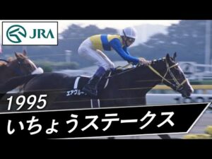 1995年 いちょうS | エアグルーヴ | JRA公式
