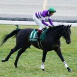 【競馬予想】[1]第57回関屋記念(GIII)/2022