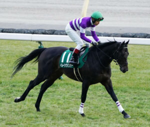 【競馬予想】[1]第57回関屋記念(GIII)/2022