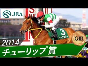 2014年 チューリップ賞（GⅢ） |  ハープスター | JRA公式