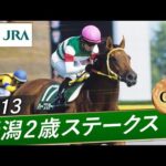 2013年 新潟2歳ステークス(GⅢ) | ハープスター | JRA公式