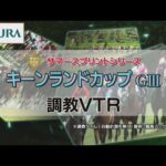 【調教動画】2022年 キーンランドカップ|JRA公式