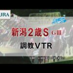 【調教動画】2022年 新潟2歳ステークス|JRA公式