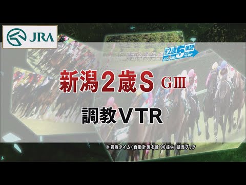 【調教動画】2022年 新潟2歳ステークス｜JRA公式