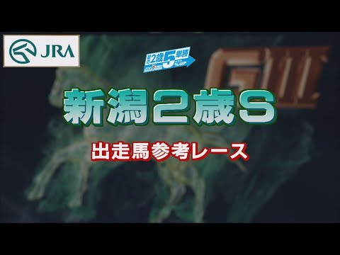 【参考レース】2022年 新潟2歳ステークス｜JRA公式