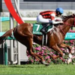 【競馬予想】[2]第17回キーンランドカップ(GIII) /2022